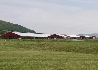 Large farm buildings with cows