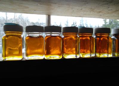 maple syrup in jars