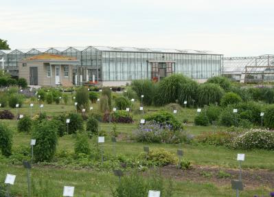 Various plants growing in front of greenhouses