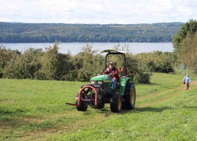 Man on tractor near apple trees